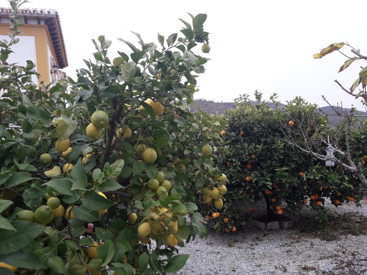 Alojamiento Colina Del Sol Torrox Luaran gambar